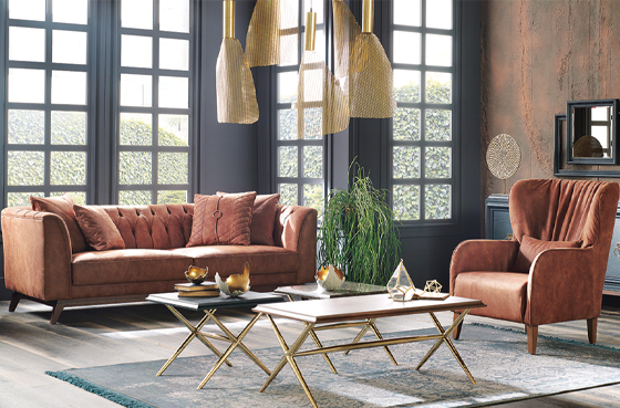 Enza Home auf dem Vormarsch der organischen Vermarktung